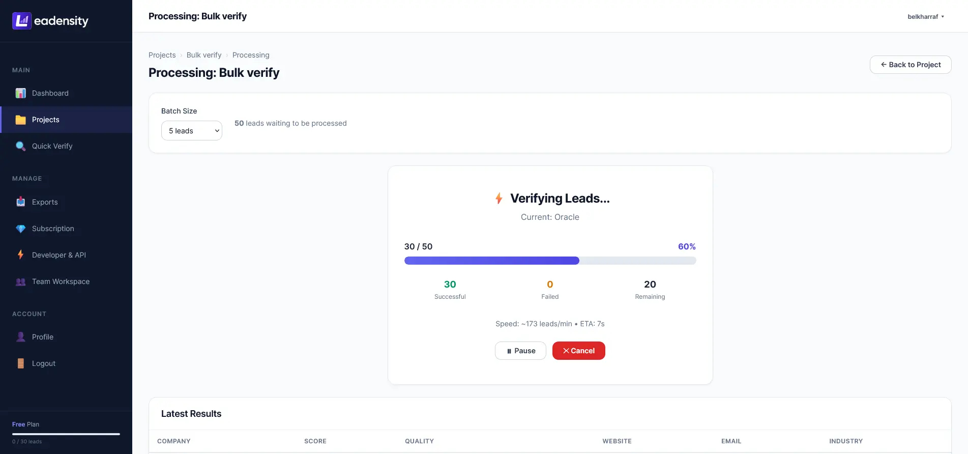 Leadensity Bulk Verification Batch Processor